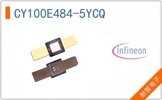 CY100E484-5YCQ