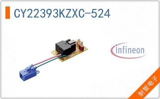 CY22393KZXC-524
