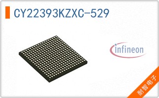 CY22393KZXC-529