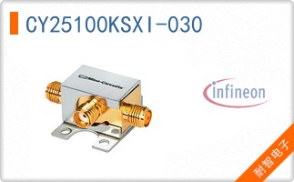 CY25100KSXI-030