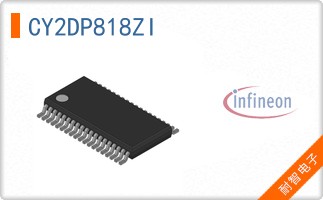 CY2DP818ZI