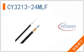 CY3213-24MLF