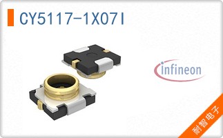 CY5117-1X07I