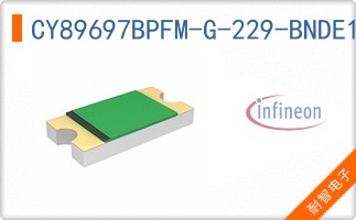 CY89697BPFM-G-229-BNDE1