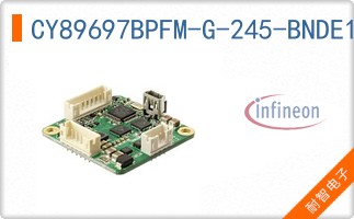 CY89697BPFM-G-245-BNDE1