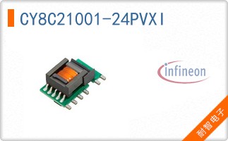 CY8C21001-24PVXI