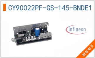 CY90022PF-GS-145-BNDE1
