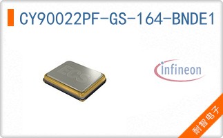 CY90022PF-GS-164-BNDE1