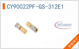 CY90022PF-GS-312E1