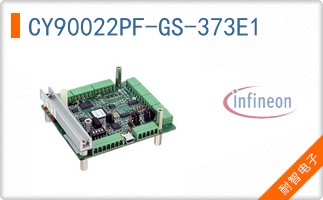 CY90022PF-GS-373E1