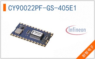 CY90022PF-GS-405E1