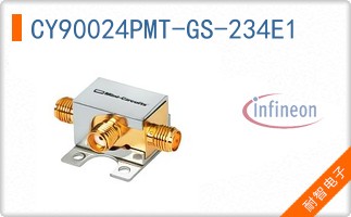 CY90024PMT-GS-234E1