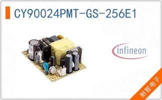 CY90024PMT-GS-256E1