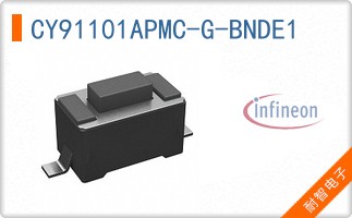 CY91101APMC-G-BNDE1