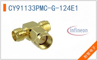 CY91133PMC-G-124E1