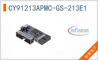 CY91213APMC-GS-213E1