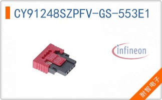 CY91248SZPFV-GS-553E1
