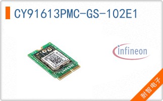 CY91613PMC-GS-102E1