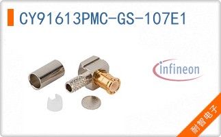 CY91613PMC-GS-107E1