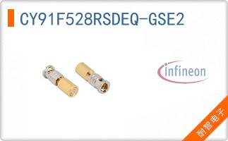 CY91F528RSDEQ-GSE2
