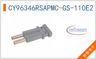 CY96346RSAPMC-GS-110E2