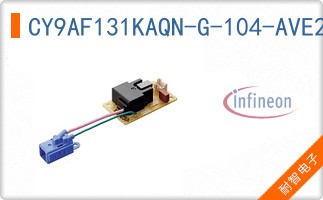 CY9AF131KAQN-G-104-AVE2