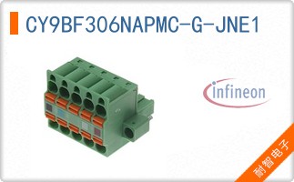 CY9BF306NAPMC-G-JNE1
