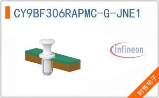 CY9BF306RAPMC-G-JNE1