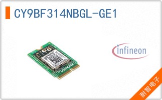 CY9BF314NBGL-GE1