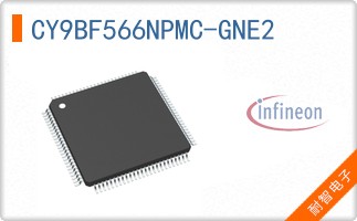 CY9BF566NPMC-GNE2