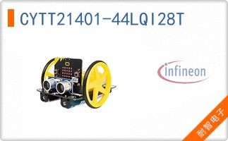 CYTT21401-44LQI28T