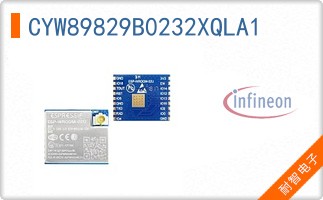 CYW89829B0232XQLA1