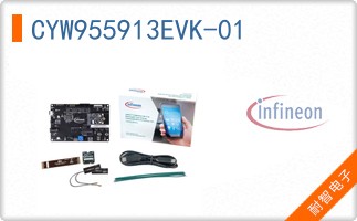 CYW955913EVK-01