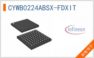 CYWB0224ABSX-FDXIT