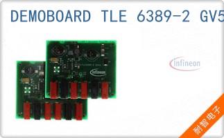 DEMOBOARD TLE 6389-2 GV50
