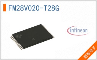 FM28V020-T28G