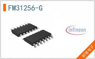 FM31256-G