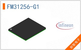 FM31256-G1
