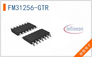 FM31256-GTR