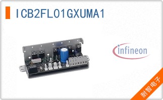 ICB2FL01GXUMA1