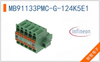 MB91133PMC-G-124K5E1