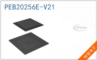 PEB20256E-V21