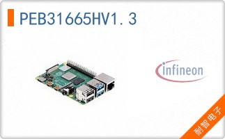 PEB31665HV1.3