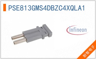 PSE813GMS4DBZC4XQLA1