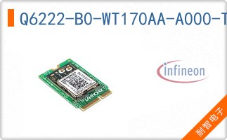 Q6222-B0-WT170AA-A000-T