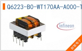 Q6223-B0-WT170AA-A000-T
