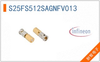 S25FS512SAGNFV013