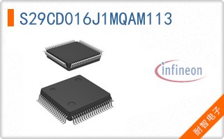 S29CD016J1MQAM113