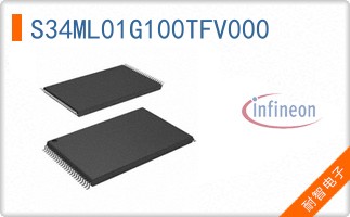 S34ML01G100TFV000