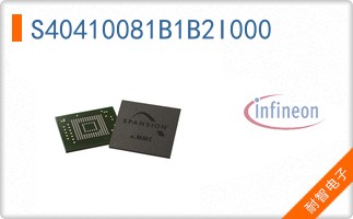 S40410081B1B2I000
